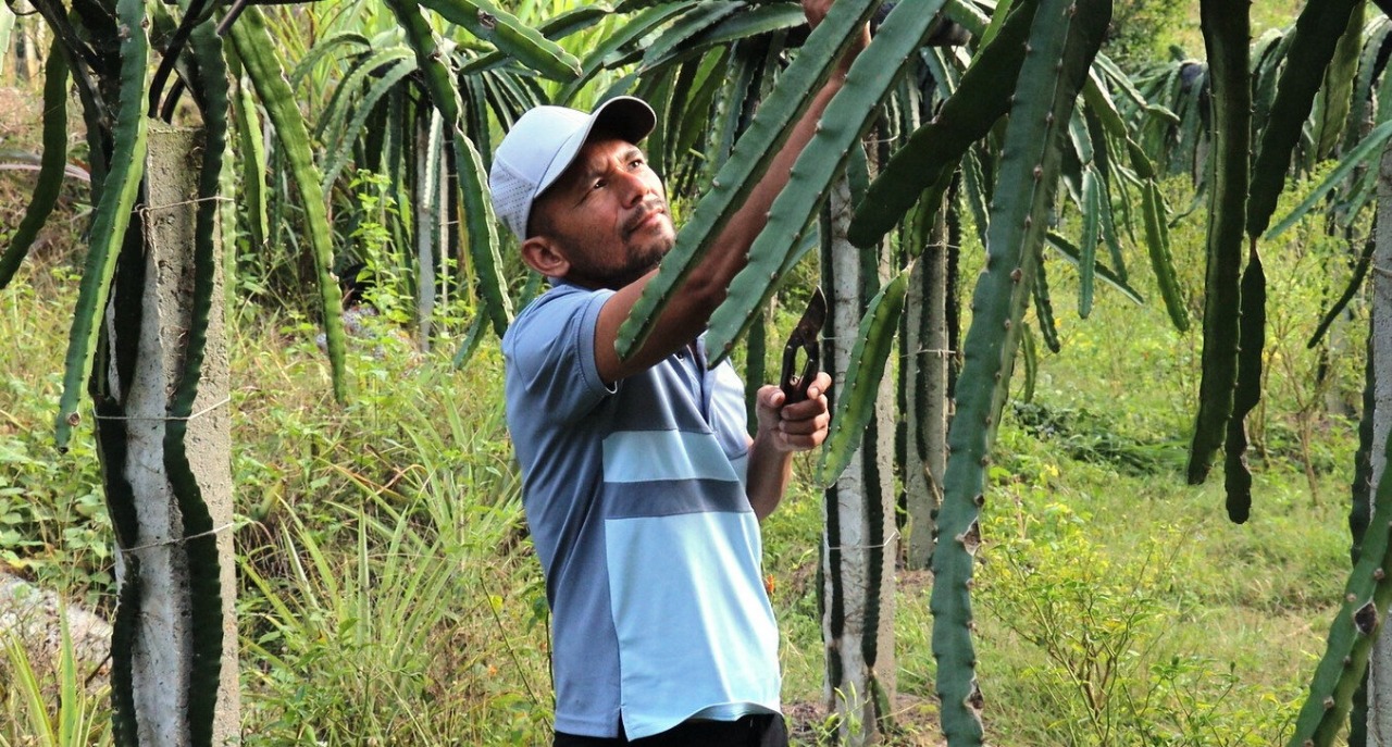 सुख्खाग्रस्त गाउँमा हरियाली : शिक्षक दिलबहादुर बने प्रेरणाका स्रोत